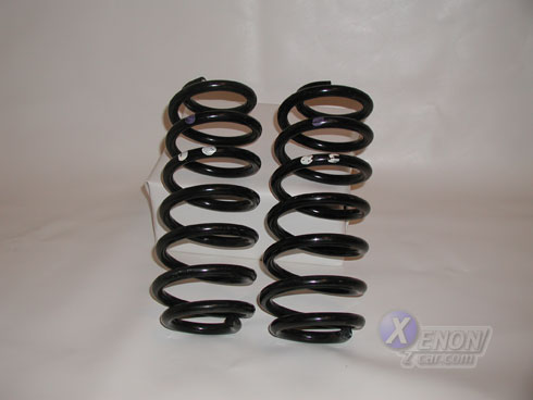 Z31 Rear Springs